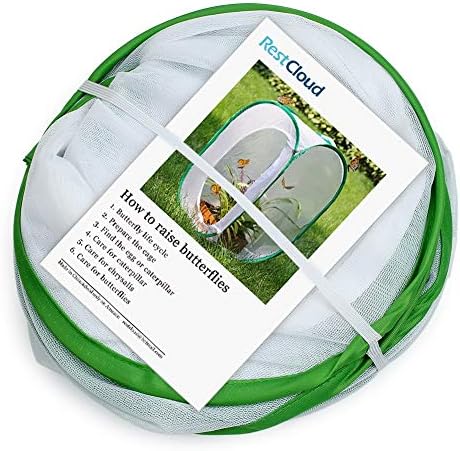 24" Insect and Monarch Butterfly Habitat Enclosure, Pack of 2