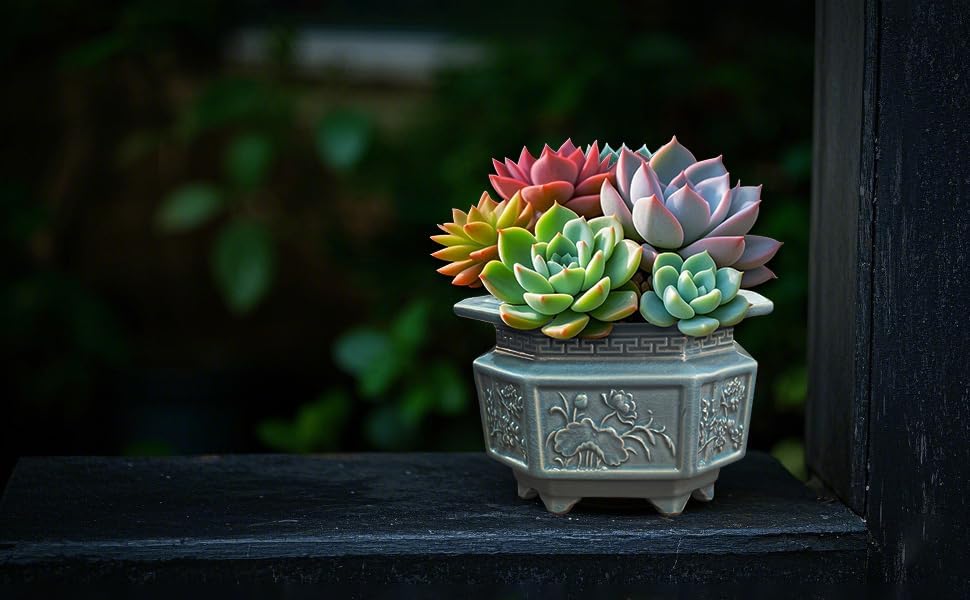 8-Inch Large Octagon Bonsai Pot Light Blue Water Glaze
