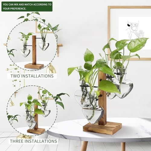Plant Terrarium Propagation Stations with Wooden Stand