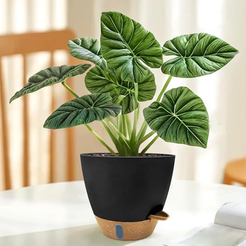 12/10/9/8 inch Self Watering Pots with Visual Water Window, Extra