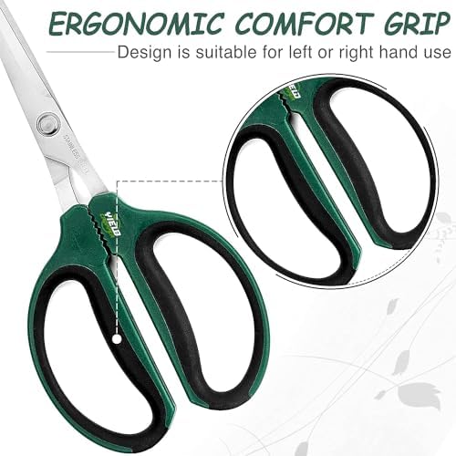 Hydroponic 2-Pack Bonsai Scissors and Plant Trimming Shears Set - Stainless Steel Pruning Shears for Indoor Gardening, Succulent Harvest, and Precision Plant Care