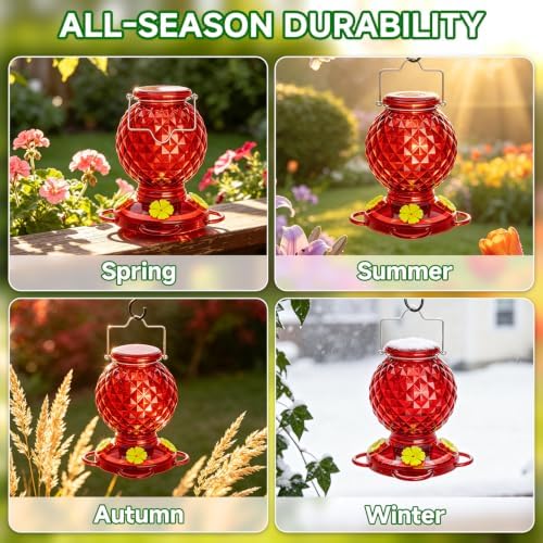 Hummingbird Feeder Glass 20 OZ 2-Pack Round Ant&Bee Proof Feeders