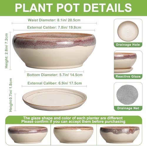 SQOWL Succulent Pots 8 Inch - Ceramic Bonsai Pots for Indoor Plants