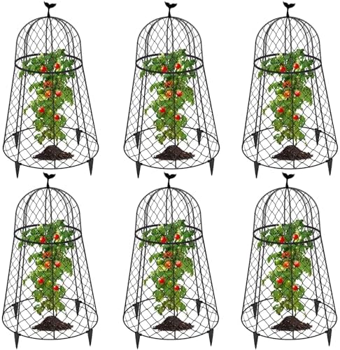 6 Packs Garden Cloches for Plants, Plant Protectors from Animals, Chicken Wire Cloche, Plant Cloche and Cage, Protection for Your Plants and Seedlings, 13" D x 20" H - Black