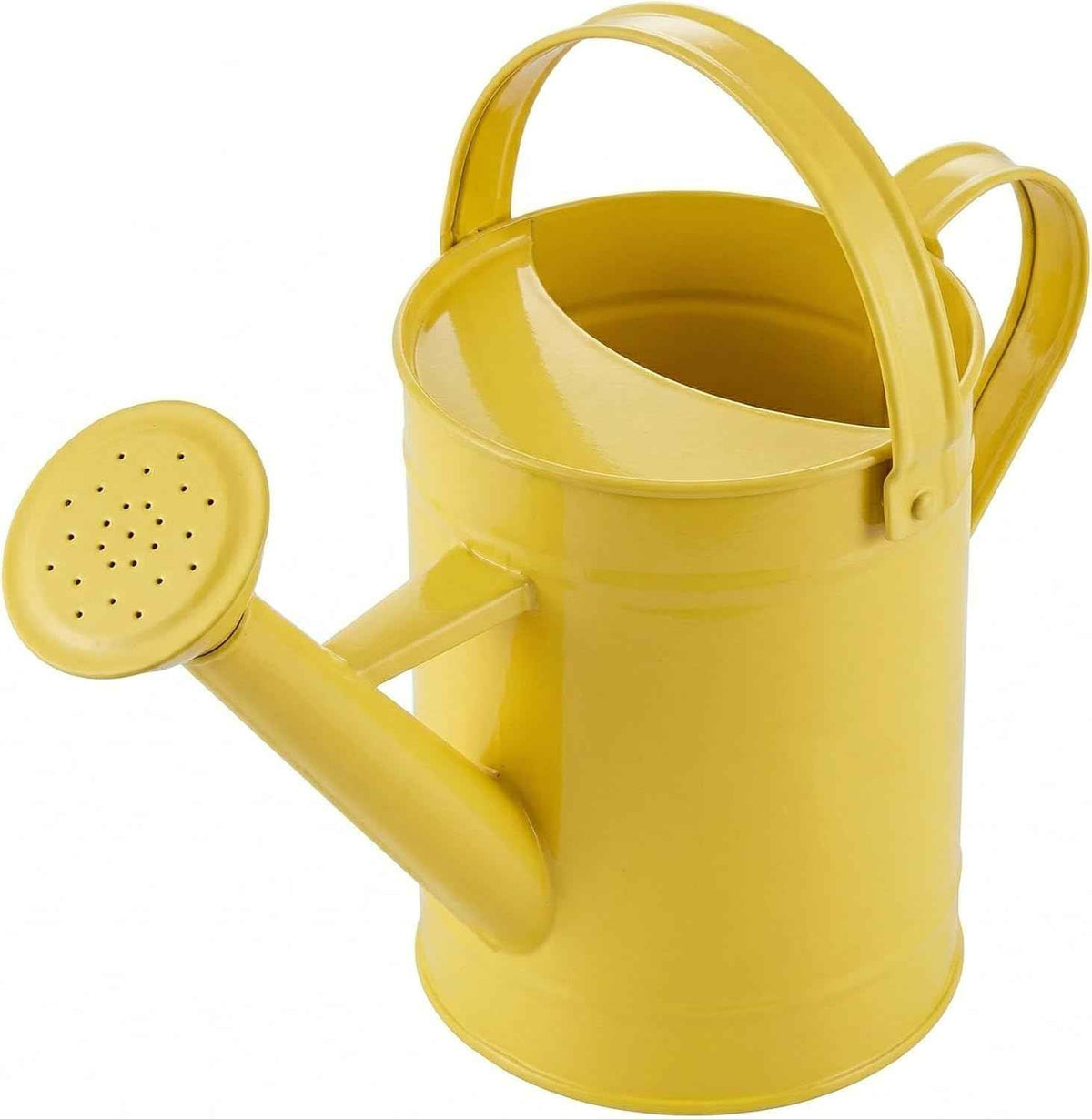 Topadorn 55 oz Vintage Metal Watering Can, Long Spout with Removable Sprinkler for Indoor & Outdoor Plants, Yellow