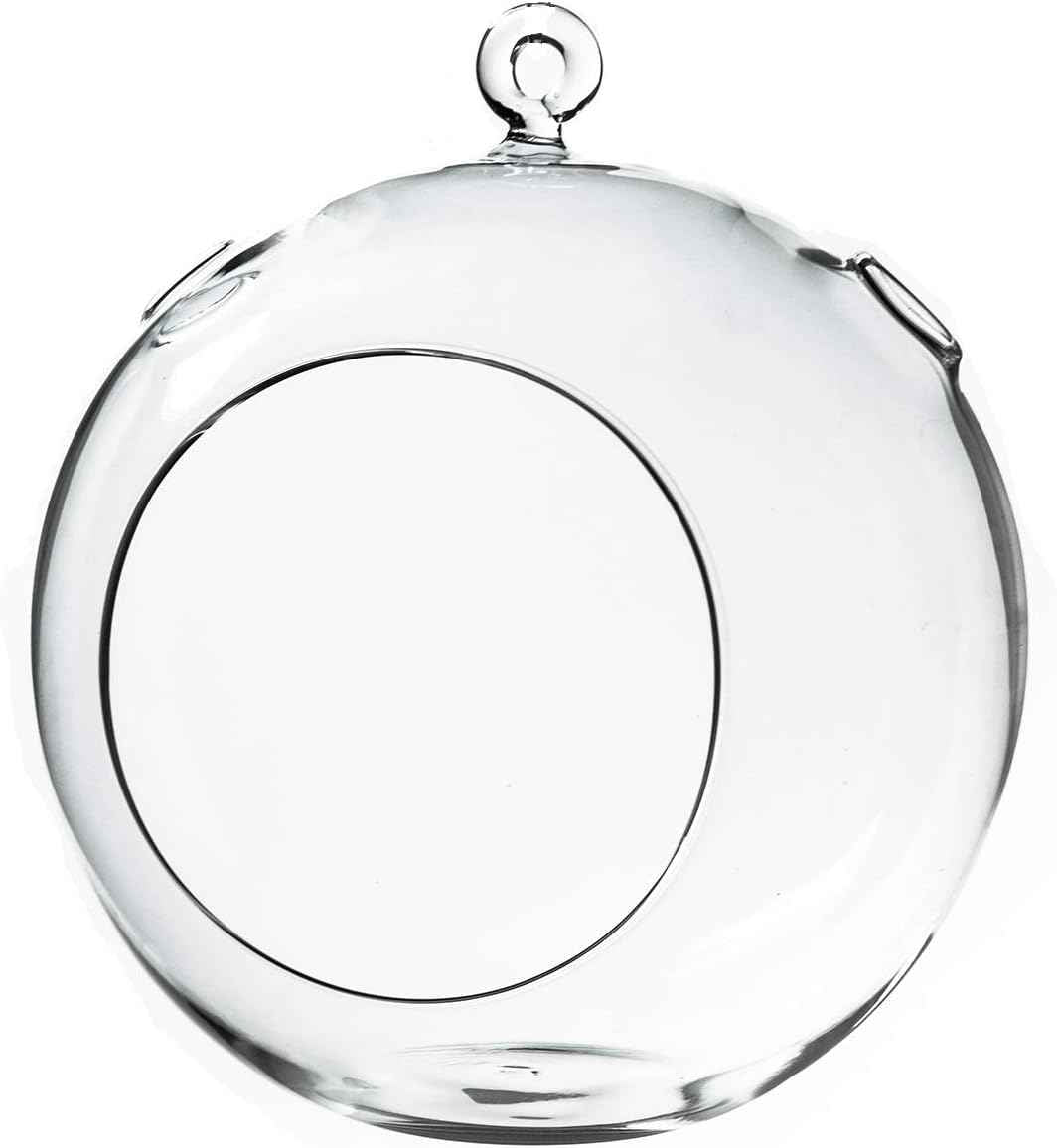 WGV Hanging Terrarium Globe, Width 7", Height 8", DIY Air Succulent Planter, Clear Glass Vase Orb with Flat Bottom, Candle Holder for Windowsill Outdoor Garden Decor, 1 Piece