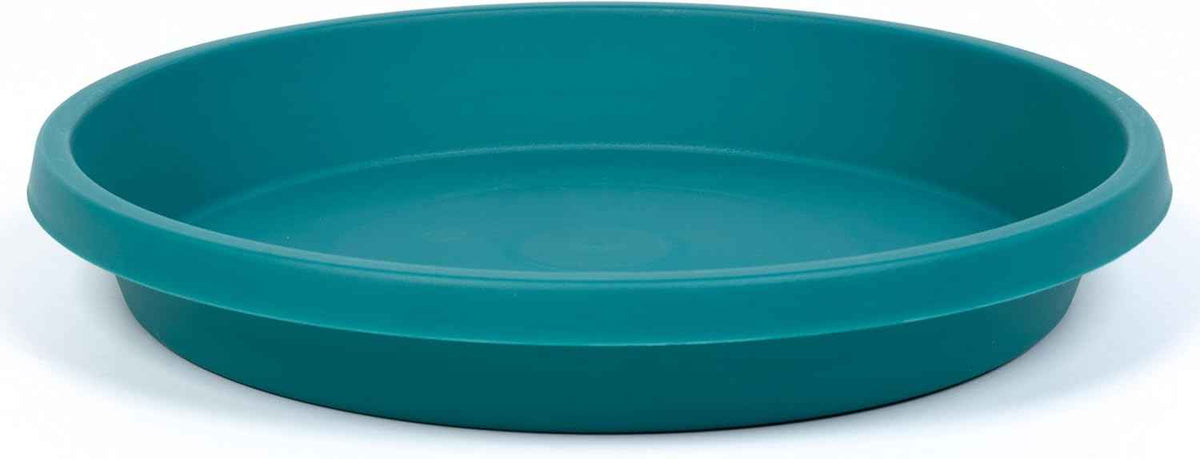 Plant Saucer 6inch 5 Pack