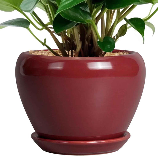 Ceramic Pot for Plants - 6 Inch Plant Pot Indoor with Drainage Hole and Saucer Succulent Outdoor Planter Round Flower Pot for House Patio Decor Red