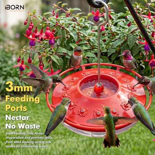 iBorn Hummingbird Feeders for Outdoors Hanging,Bee Proof Hummingbird Feeder with 14 Feeding Ports,13 OZ Saucer Humming Bird Feeders with Ant Moat,Ant Proof No Leak,Easy to Clean and Refill,Red,1 Pack