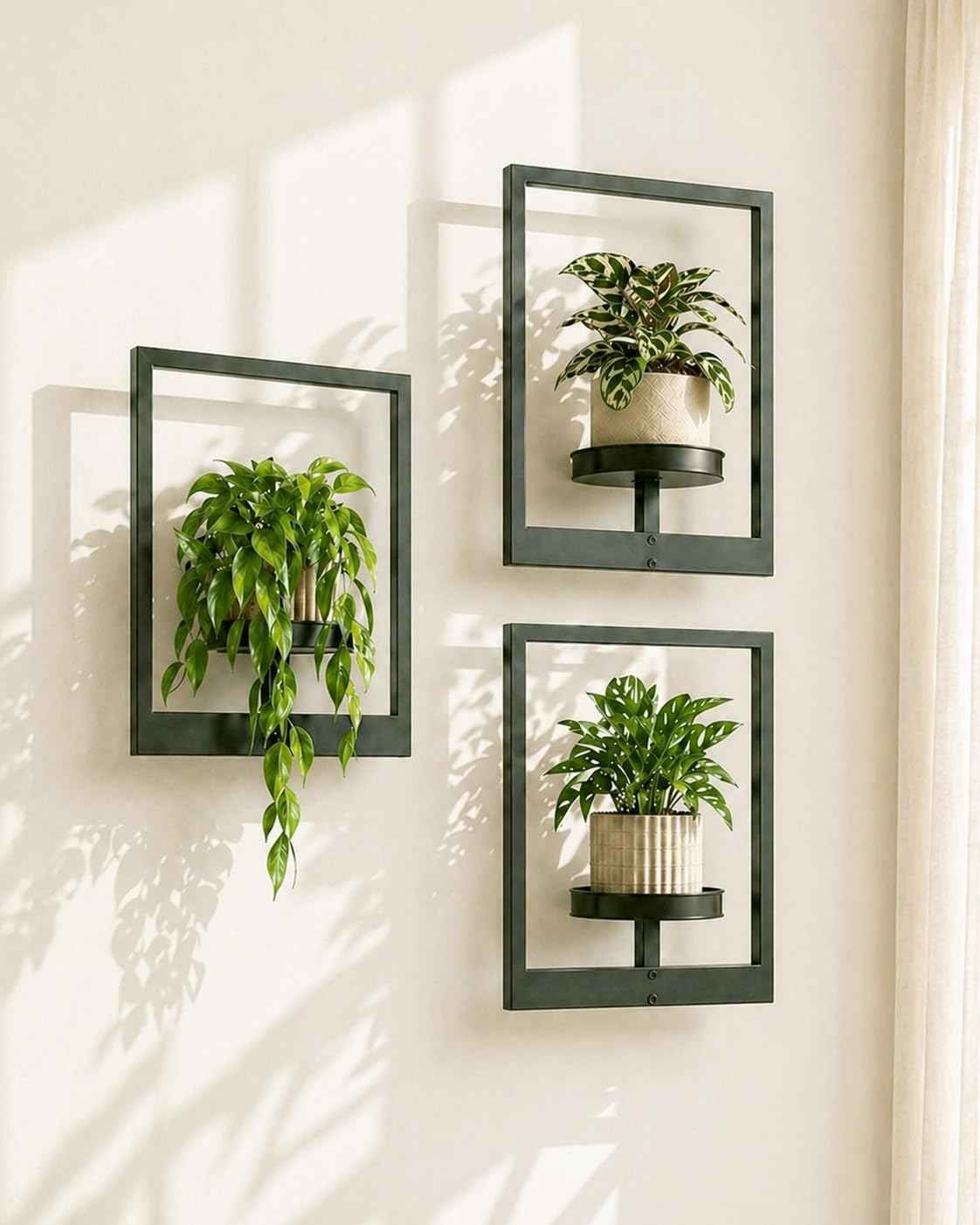 Bamworld Hanging Planters for Indoor Plants Wall Decor Living Room Plant Stand Indoor Wall Planters Plant Hanger Window Plant Shelves 3 Pack for Outdoor Entryway