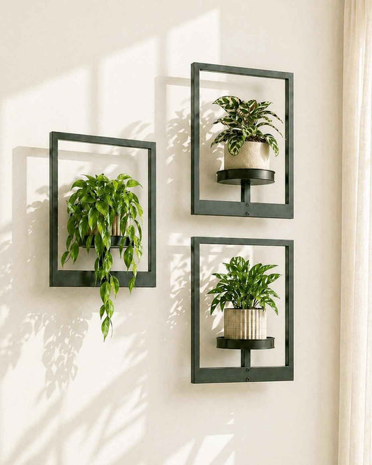 Bamworld Hanging Planters for Indoor Plants Wall Decor Living Room Plant Stand Indoor Wall Planters Plant Hanger Window Plant Shelves 3 Pack for Outdoor Entryway