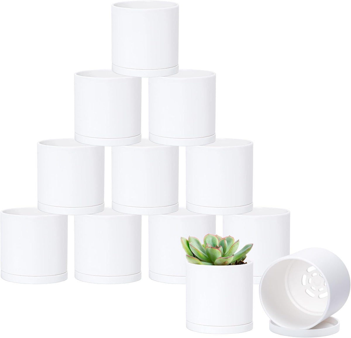 D'vine Dev 12 Pack 3 Inch Mini Plastic Plant Pots, Small Garden Planters for Plant with Drainage Holes and Saucers, White Color, 74-Z-C-4