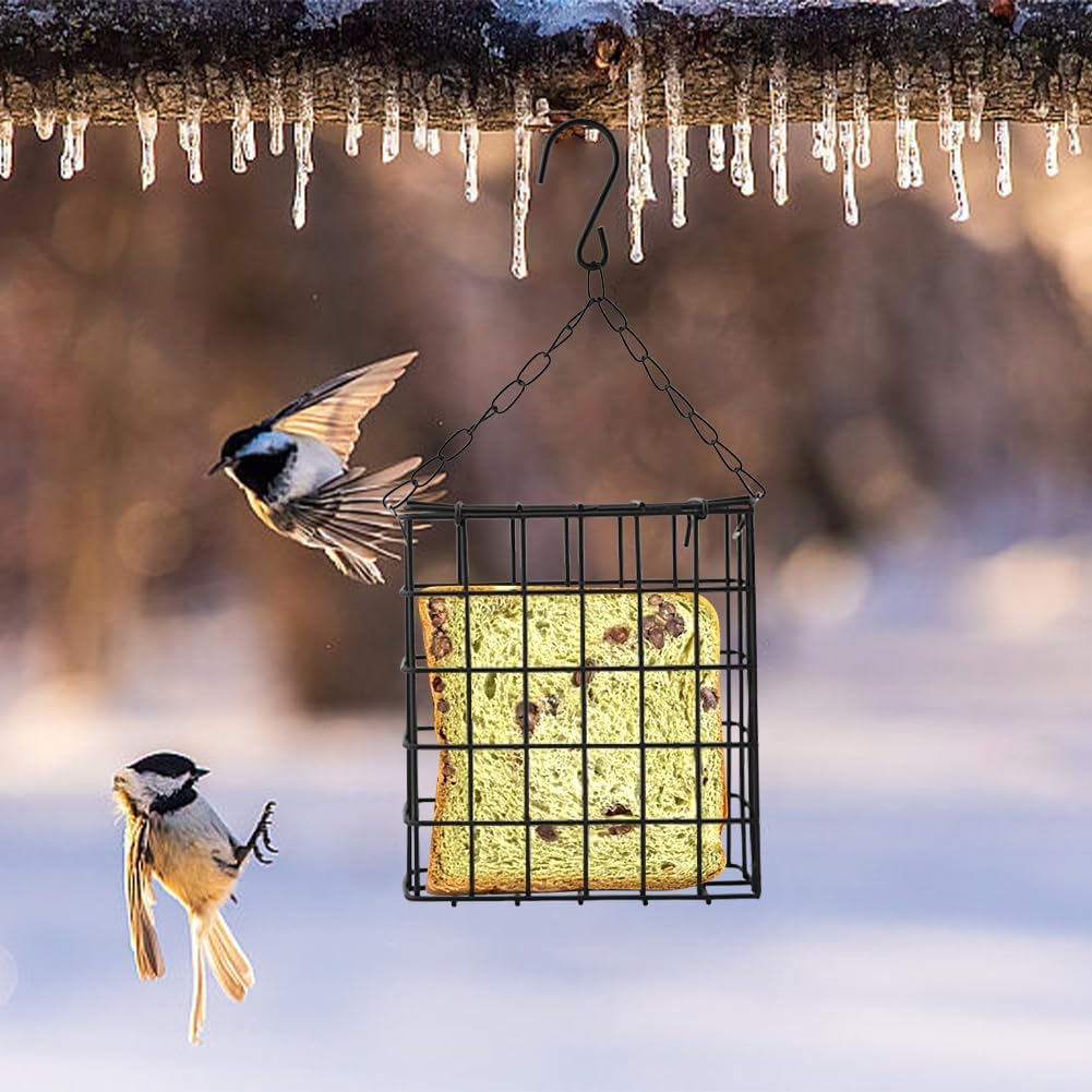 Outdoor Suet Cage Bird Feeders – 2 Pack
