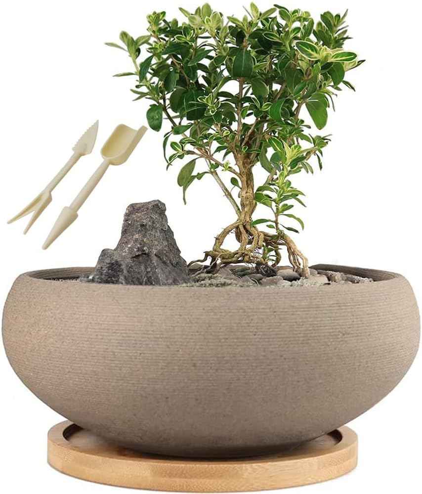 MUZHI Round Unglazed Ceramic Bonsai Pot with Bamboo Tray, Large Rough Pottery Succulent Planter with Drainage Hole 8 inch …