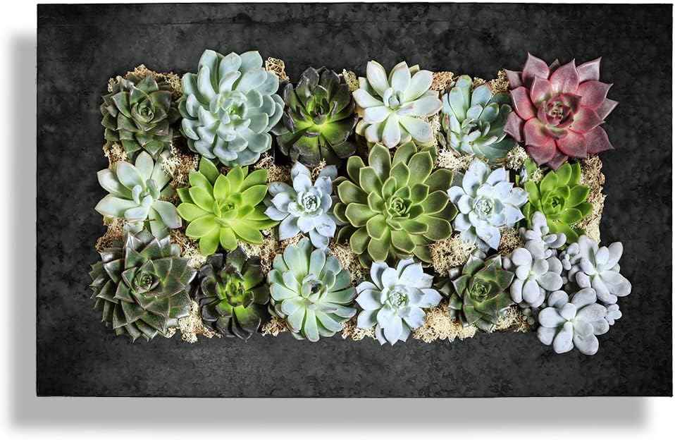 Modern Home Living Wall Galvanized Steel/Zinc Succulent Planter (Black Zinc, Horizontal 18 Pocket)