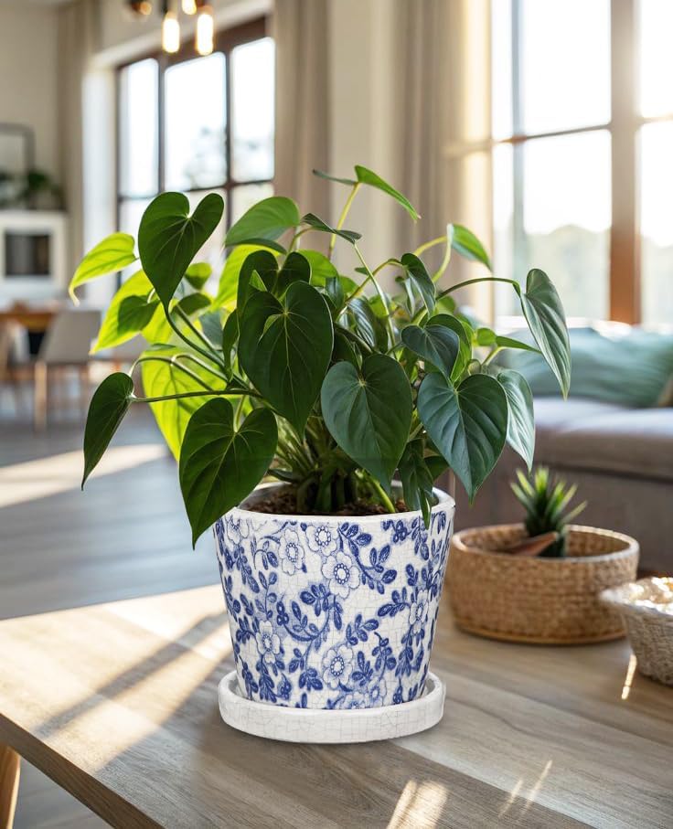 Ceramic Pot for Plants 5.5 inch Blue and White Pot for Plants Small