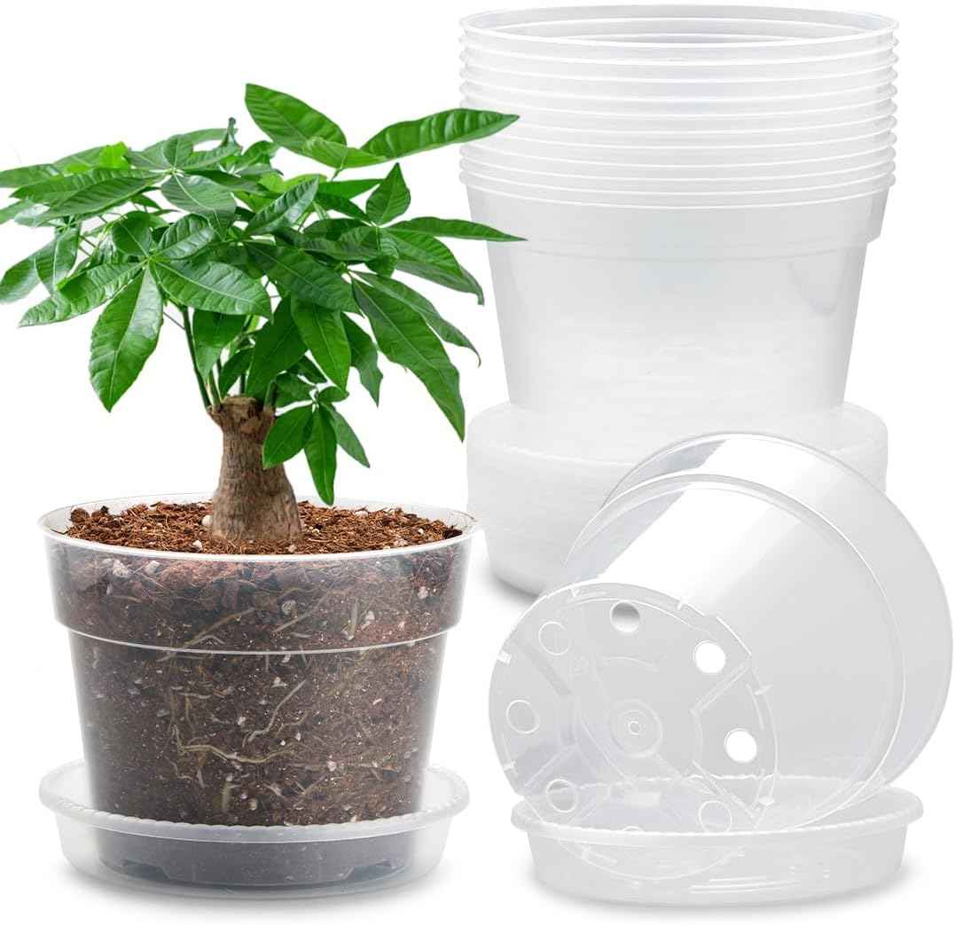 12 Pack 7 Inch Clear Nursery Pots with Saucer, Transparent Plastic Plant Pots with Drainage Holes, Sturdy Plant Starter Pots, Planter Pot for Planting Succulent Flower Herb Vegetable, Gardening Gifts