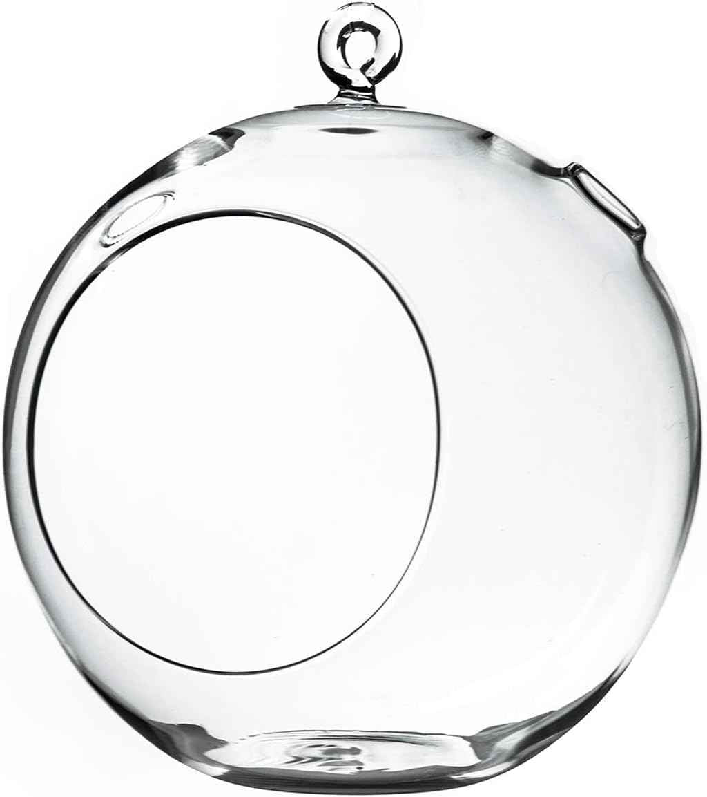 WGV Hanging Terrarium Globe, Width 8", Height 9", DIY Air Succulent Planter, Clear Glass Vase Orb with Flat Bottom, Candle Holder for Windowsill Outdoor Garden Decor, 1 Piece