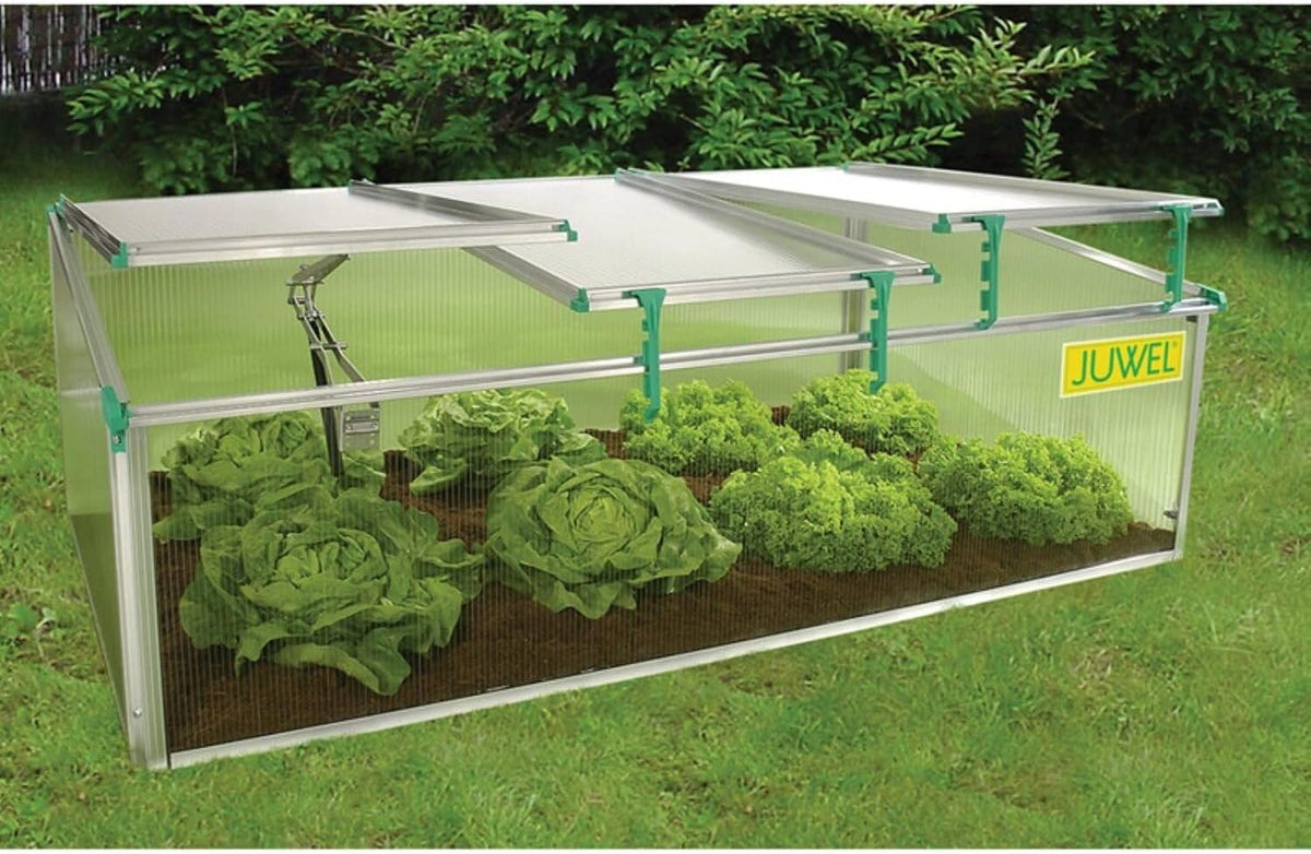 Victorian Cold Frame Gardening Kit - Metal Frame, 3 Windows, 59x32x4 Inches 142