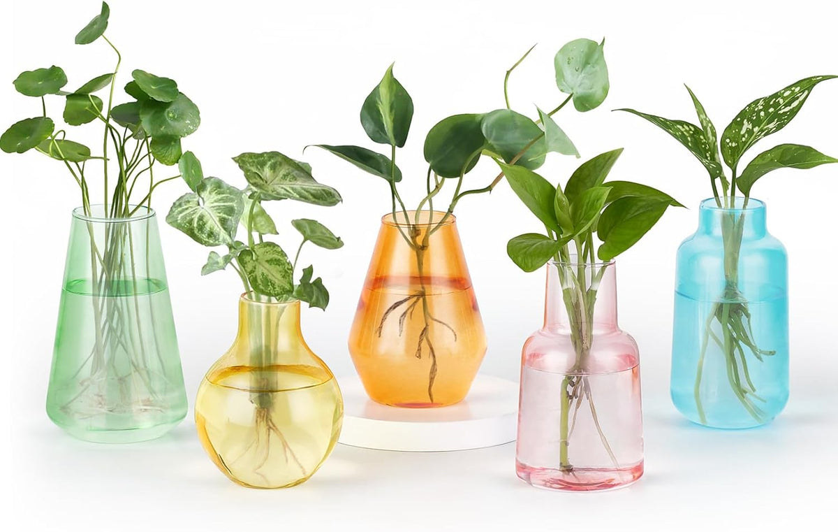Mkono Propagation Vases for Plants, Set of 5 Small Glass Jar Planters for Hydroponic Cutting Flowers, Plant Station Bud Vases for Centerpieces Home Office Decor Gift (Colorful)