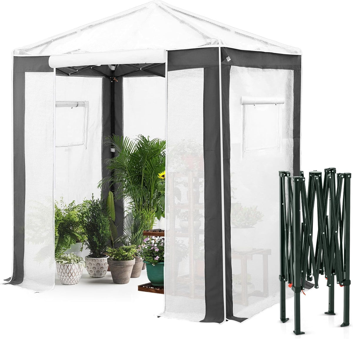 EAGLE PEAK 6x4 Portable Walk in Greenhouse with Polyester Reinforced Corners, Instant Pop up Indoor Outdoor Gardening Green House, Roll Up Zipper Entry Door and Mesh Windows, Gray/White