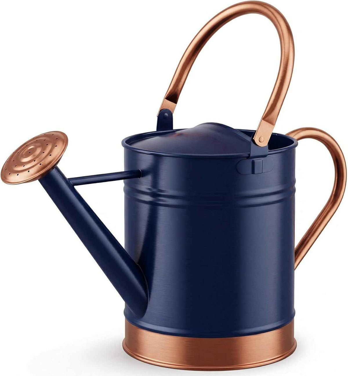 Gardenised 1 Gallon Galvanized Metal Watering Can with Removable Long Spout & Sprinkler Head for Indoor & Outdoor Use Ideal for Garden Flowers Potted Plants Houseplants Modern Home Accessories, Blue