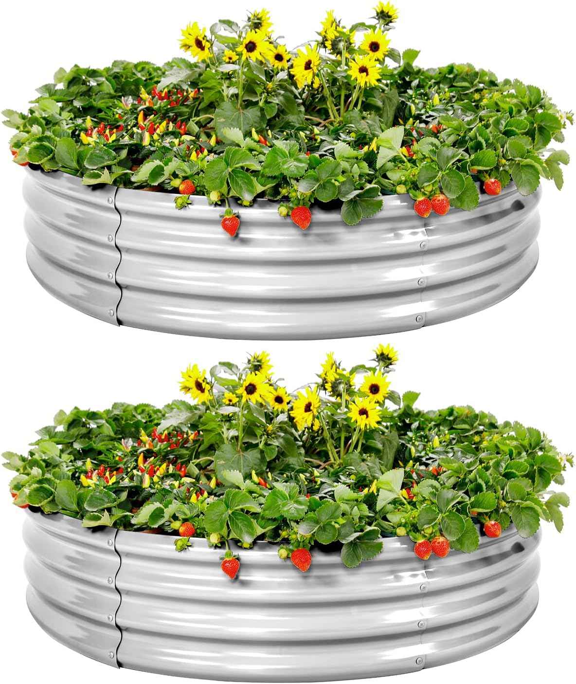 Land Guard Galvanized Raised Garden Bed 2Pcs, Planter Raised Garden Beds Outdoor, Round Clearance Raised Garden Beds for Gardening Vegetables 4x4x1ft……