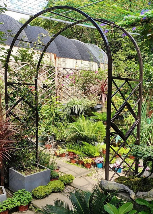 Heavy Duty Steel Garden Arbor & Trellis Arch for Grape Vines Climbing Plants Pergola Outdoor Theme Decoration Archway 180cm 260cm 340cm 140cm (Color : Black, Size : 87" W x 91" H)