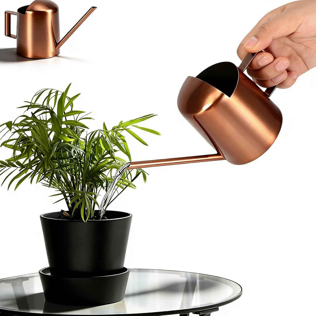 10oz/300ml Watering Can Indoor Plants, Long Spout Small Watering Sprinkling Pot Mini Stainless Steel Water Can Garden Water Pot for Indoor House Plants Bonsai