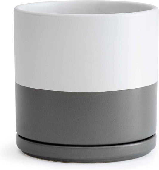 D'vine Dev 8 Inch Ceramic Planter Pot with Drainage Hole and Saucer, Indoor Cylinder Round Planter Pot, White/Speckled Grey, 94-O-D-6