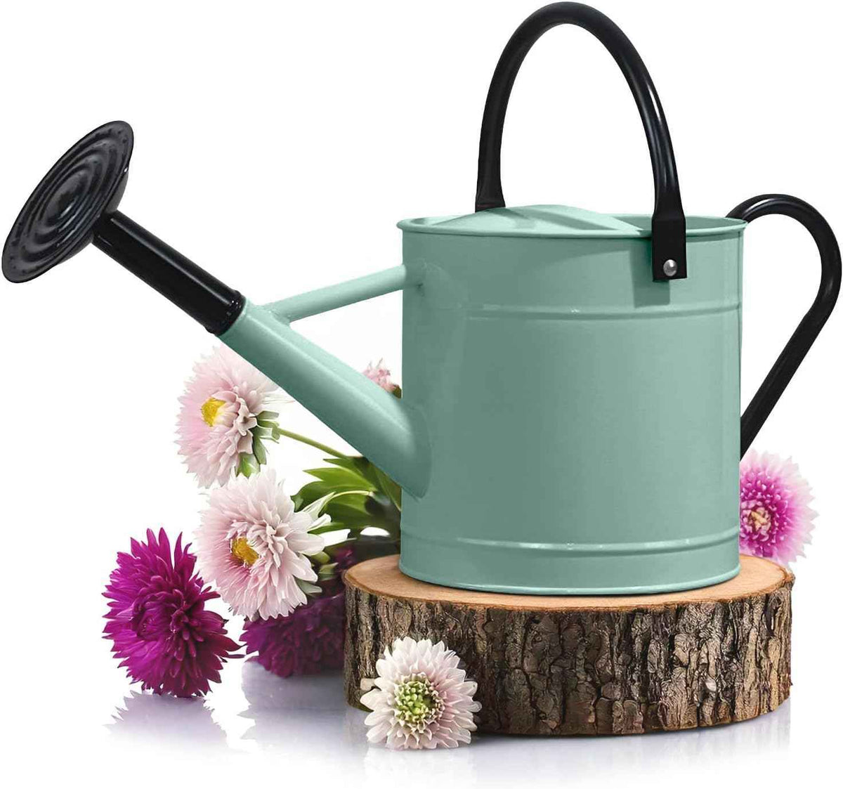 Plexon Metal Watering Can Outdoor 1 Gallon, Flower Plant Gardening Garden Large Watering Can Pot, Black Galvanized Steel Handles and Removable Spray Spout, Aqua Mist Blue