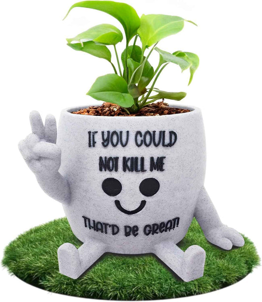 Funny Face Indoor Head Planter Pot, 3D Printed, Unique Small Succulent Flower Pot, Cute Cactus Planter, Indoor Home Decor, Office Desk Plant Pot, Novelty Gardening Gift Set