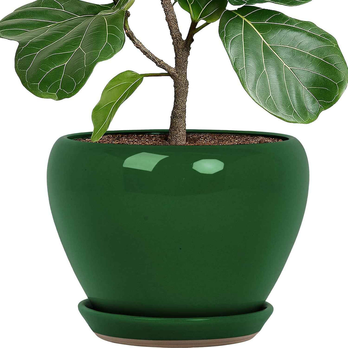 Deep Dream 10 Inch Plant Pot- Ceramic Planter Pot Round Plant Pots for Indoor Plants Outdoor Large Flower Pot with Drainage Holes & Trays, Green