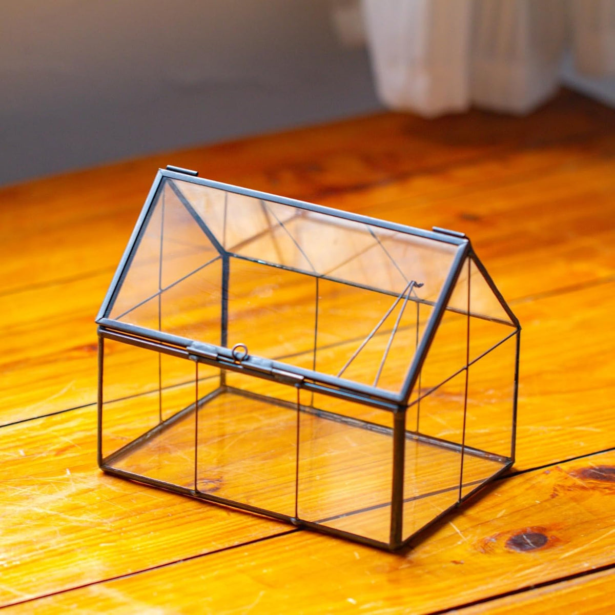 NCYP Mini Glass Terrarium with Lid - 6.1" x 4.25" x 4.92" House Shape Closed Planter Pot for Small Cactus, Succulents Plant - Home Garden Office Tabletop Geometric Decor, Black (Terrarium Only)