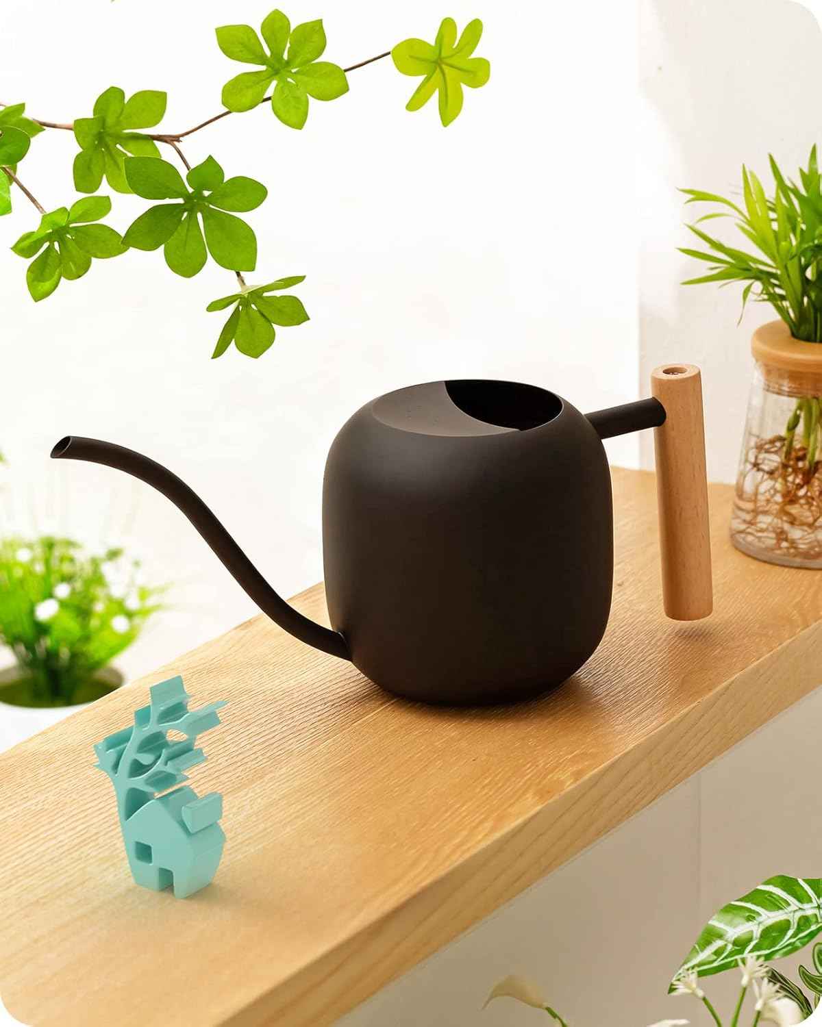 Baffect Watering Can Indoor Plants, 1.2L/41OZ Cute Watering Can Pot, Metal Stainless Steel Garden Water Can with Long Spout for Indoor House Plants Bonsai Outdoor Garden Flower Decorative