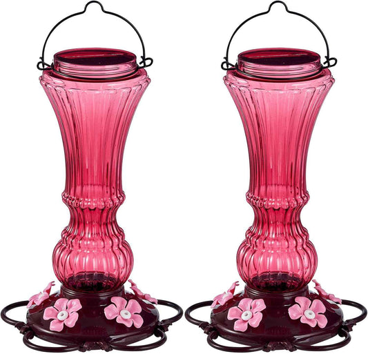 Hummingbird Feeder for Outdoors Plastic Humming Bird Nectar Feeders with 5 Flower Feeding Ports Hanging for Garden Decor, 20 oz (2 Pack
