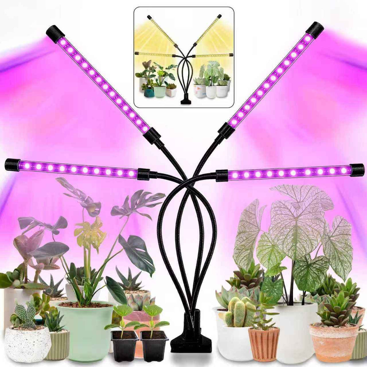 LEOTER Grow Light for Indoor Plants - Upgraded Version 80 LED Lamps with Full Spectrum & Red Blue Spectrum, 3/9/12H Timer, 10 Dimmable Level, Adjustable Gooseneck,3 Switch Modes
