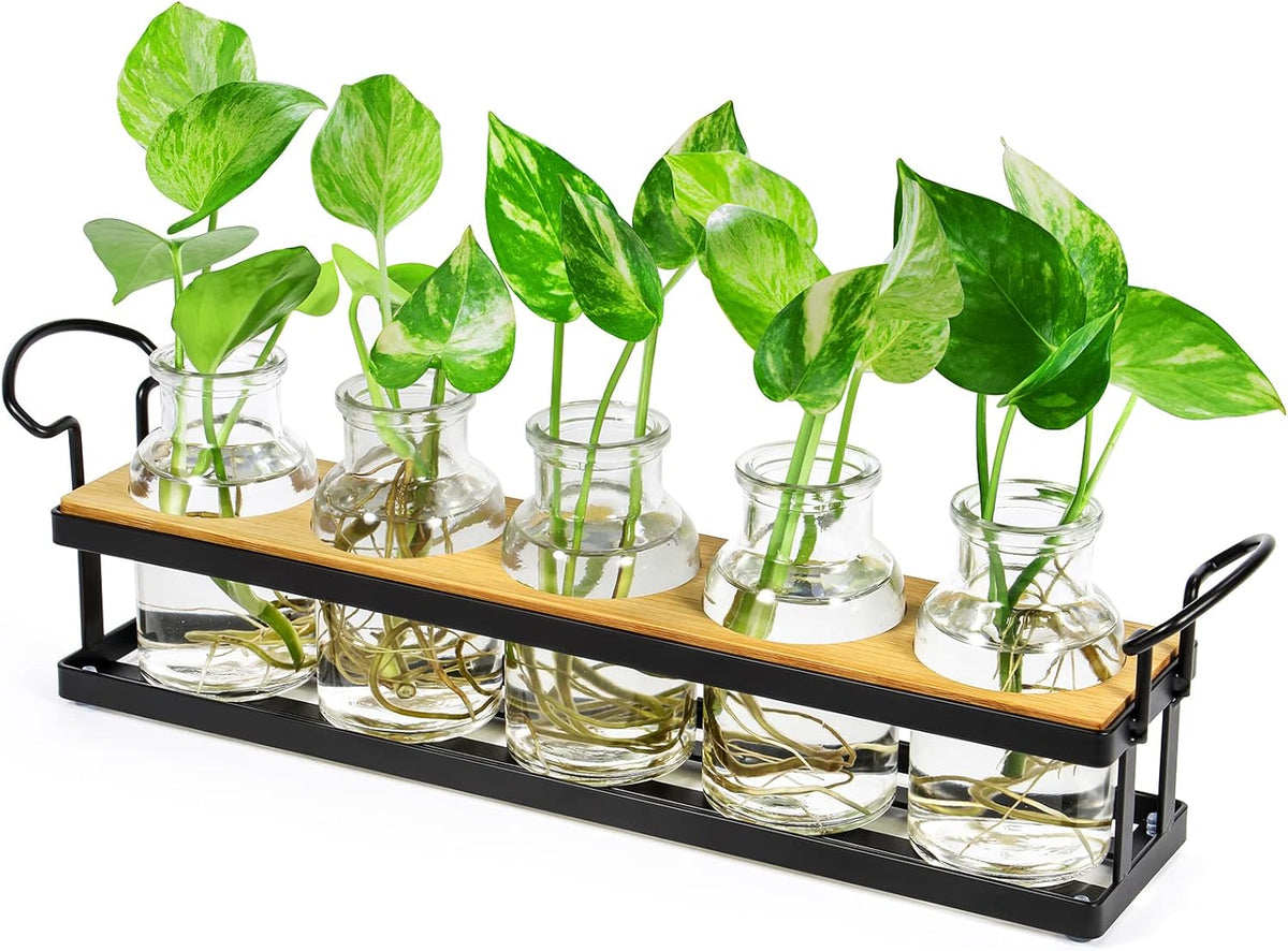 THYGIFTREE Plant Propagation Stations with Metal Stand, Tabletop Plant Terrarium for Propagating Hydroponic, Retro Glass Planter Flower Vase Home Kitchen Office Decor, Plant Lover Gifts, 5 Jars