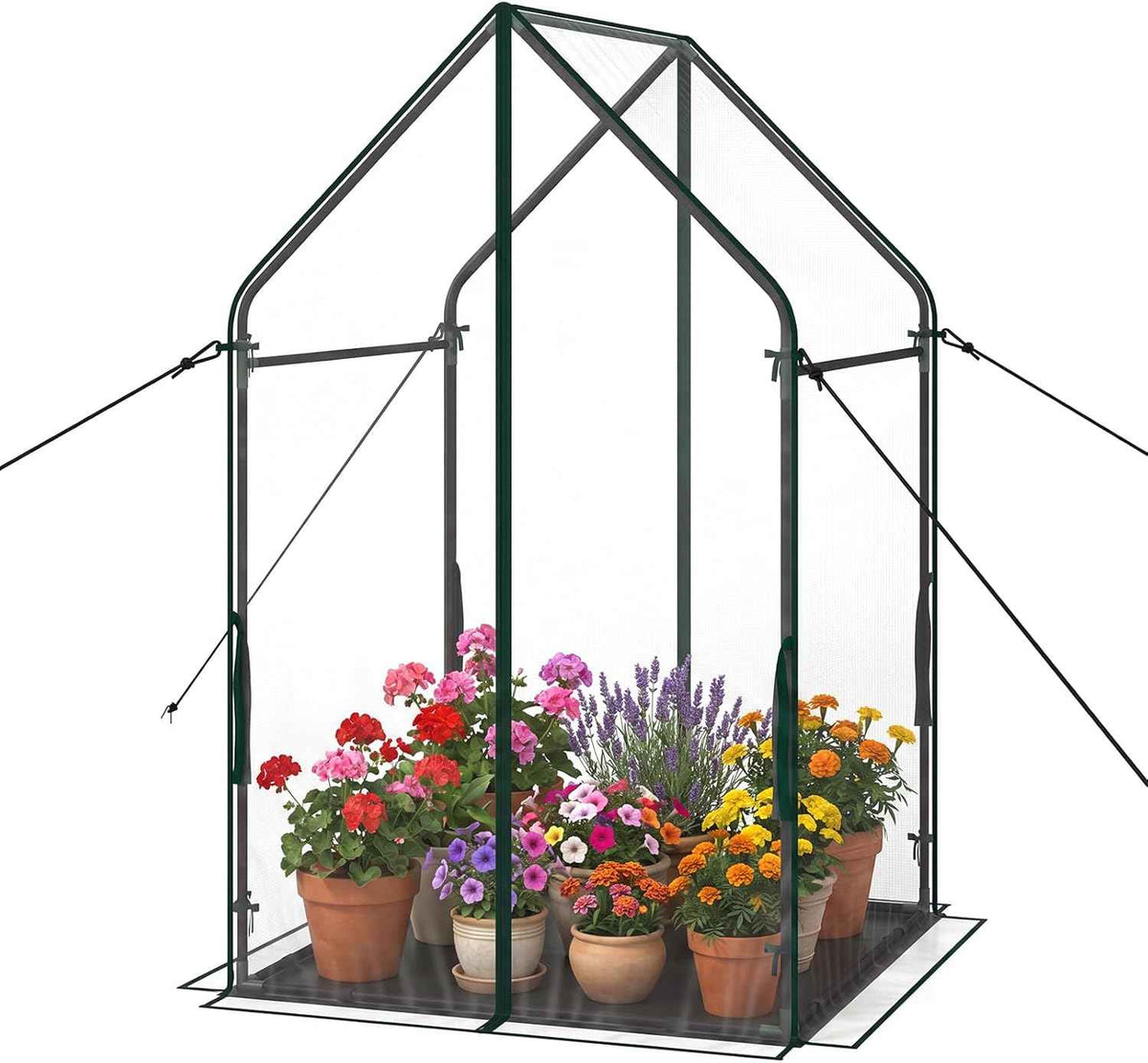 Giantex Mini Greenhouse, Outdoor Portable Green House with Sturdy Metal Frame, Ground Stakes & Wind Ropes, Clear Tent Small Greenhouse for Indoor Outdoor Plants (36"x36"x60")