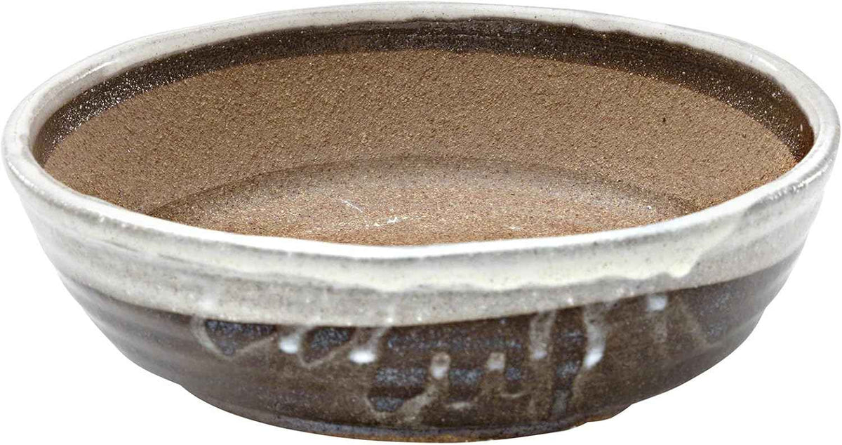 Wazakura Shigaraki Series Handmade White Stripe Glazed Ceramic Bonsai Pot with Drainage Hole, 8.2 (210 mm) Made in Japan, Garden Training Container, Flower Planter, Succulent Bowl - Big Size