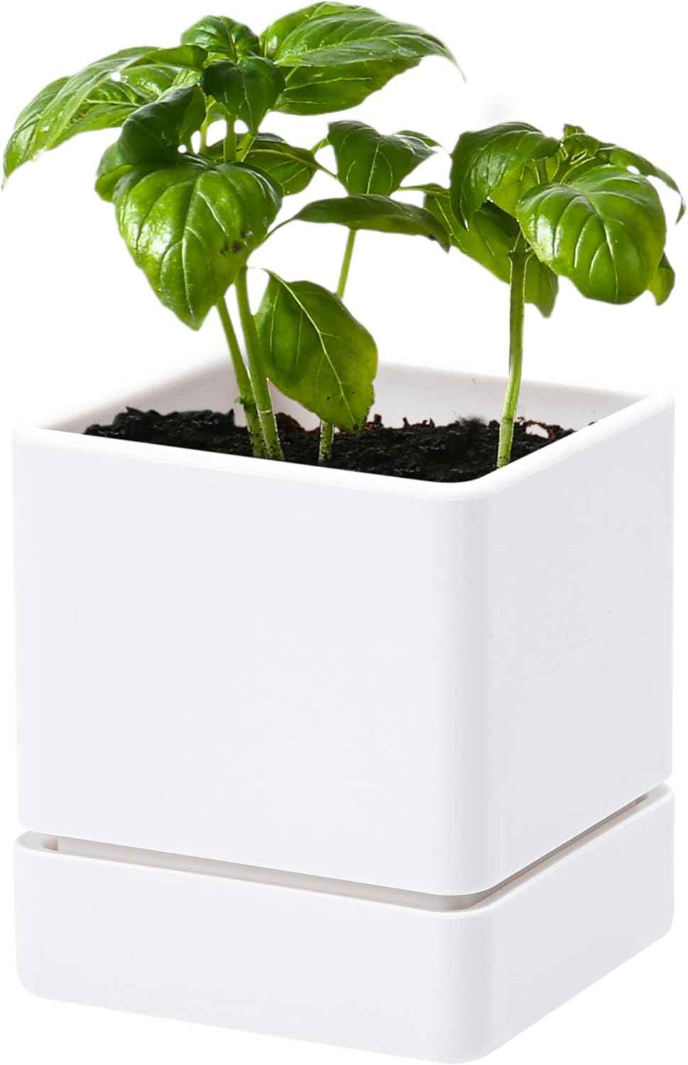 4 Inch Herb Planter Pot, Plastic Planter with Drainage Holes and Saucer, Modern Decorative Gardening Pot for Indoor Plants, Flowers, Herbs, Succulents, White, Set of 1, 76-Y-A-1