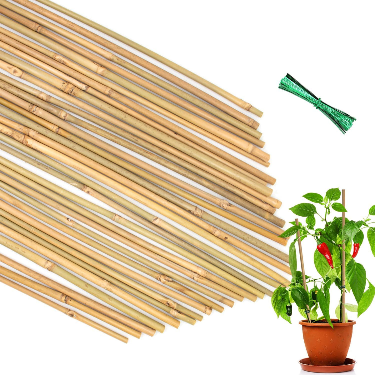 35Pcs Plant Stakes,Premium Natural Bamboo Garden Stakes,Bamboo Sticks Support for Indoor and Outdoor Plants,Tomato,Vegetables Beans,Potted and Climbing Plants