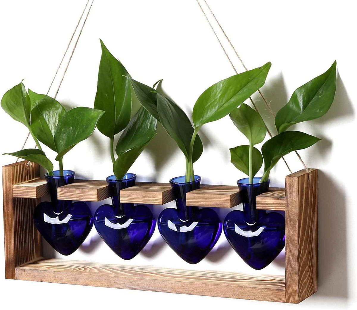 Plant Propagation Stations Heart Plant Terrarium Kit Gift for Women Plant Lover Glass Vases