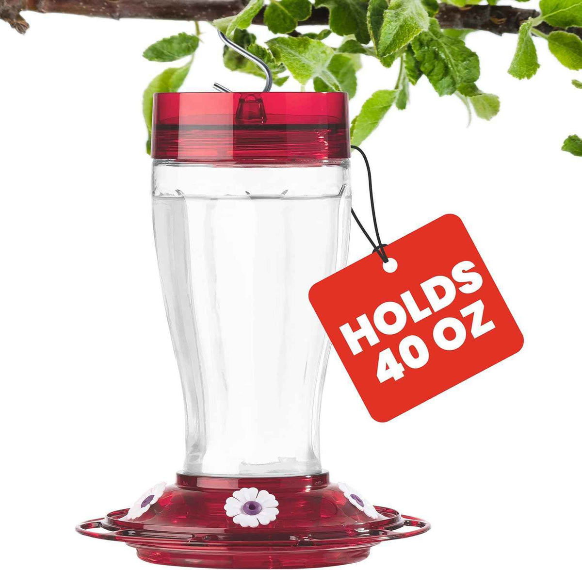 More Birds Bird Health+ Big Gulp Hummingbird Feeder, Glass Hummingbird Feeders for Outdoors, 5 Feeding Stations, 40 Ounces