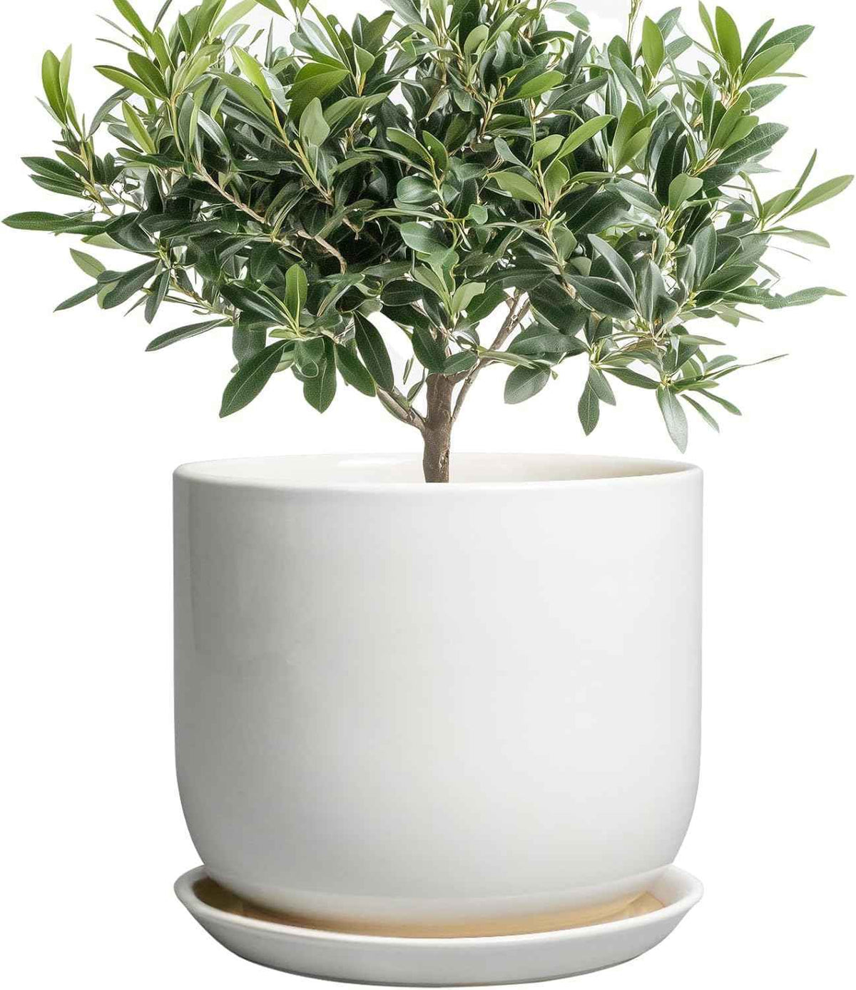 Ceramic Plant Pot - Modern 8 Inch Round Planter for Indoor Outdoor Plants with Drainage Hole and Saucer, Home House Room Office Decor, White