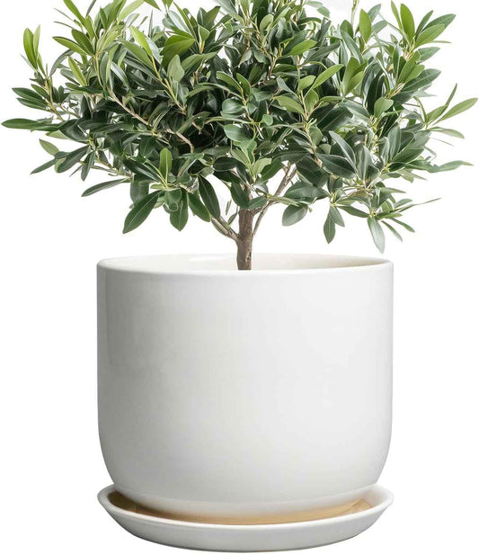 Ceramic Plant Pot - Modern 8 Inch Round Planter for Indoor Outdoor Plants with Drainage Hole and Saucer, Home House Room Office Decor, White