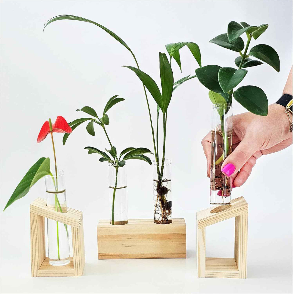 Plant Propagation Station - 3-Piece Wooden Stand with 4 Glass Test Tubes, Terrarium Vases for Plants, Hydroponic Propagation Planter for Home office Decor, Plant Lover Gift.