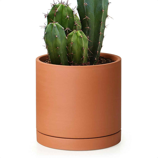 D'vine Dev Small 6 Inch Terracotta Plant Pot with Drainage Hole and Saucer, Round Cylinder Planter Pot for Indoor Plants, 40-X-A-3