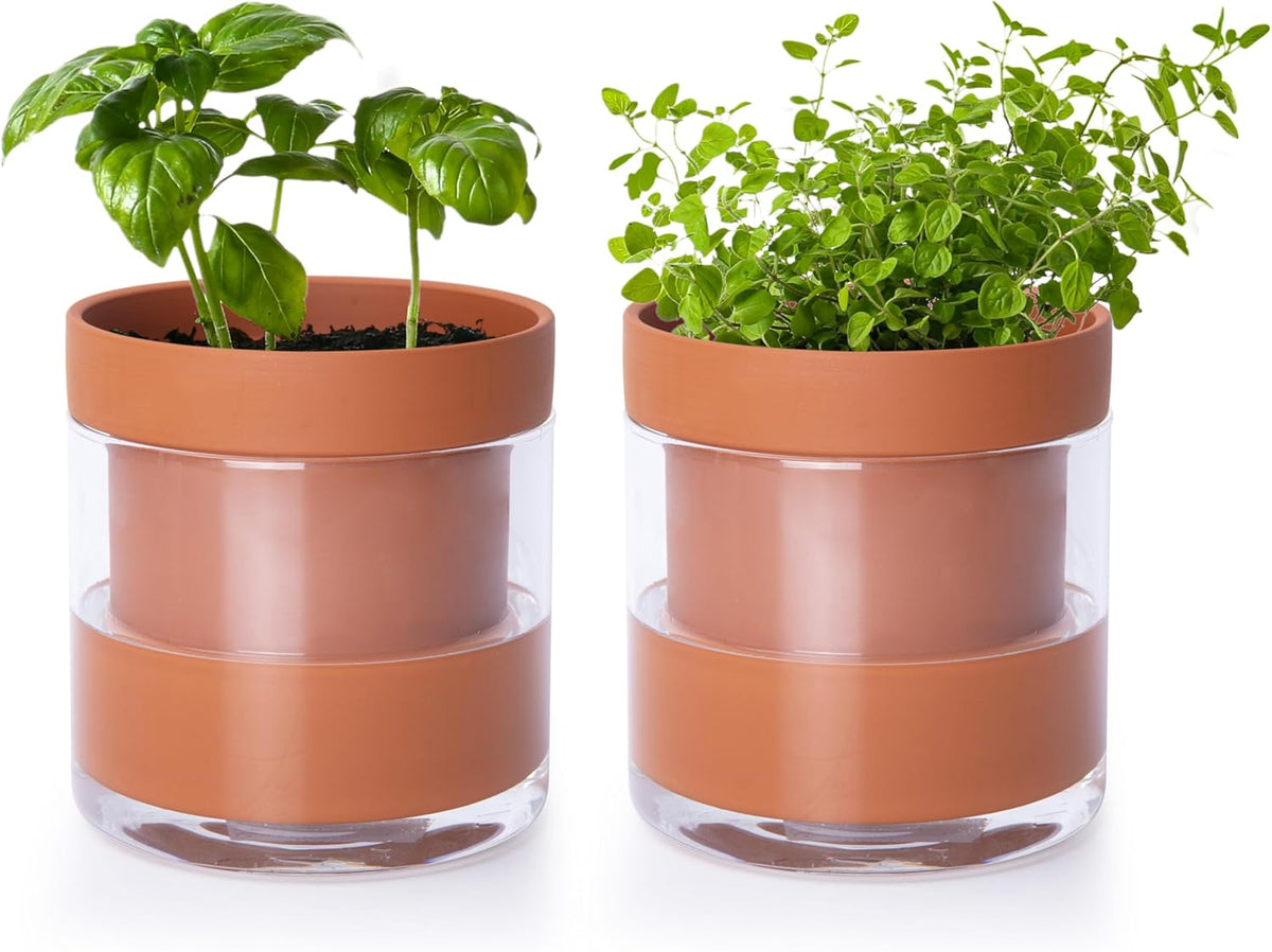 Phoenix Vine 4 Inch Self Watering Planter Pot, Terracotta Clay Pot with Glass Reservoir for Indoor Plants, Herbs, Flowers, Set of 2, 52-A-E-2