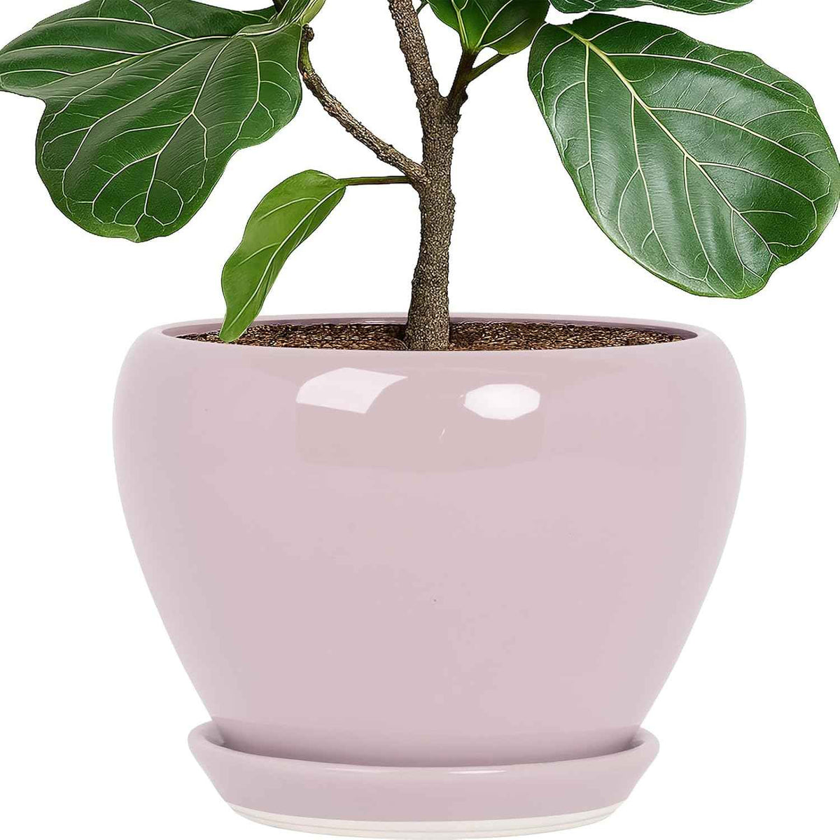 Deep Dream 10 Inch Plant Pot- Ceramic Planter Pot Round Plant Pots for Indoor Plants Outdoor Large Flower Pot with Drainage Holes & Trays, Pink